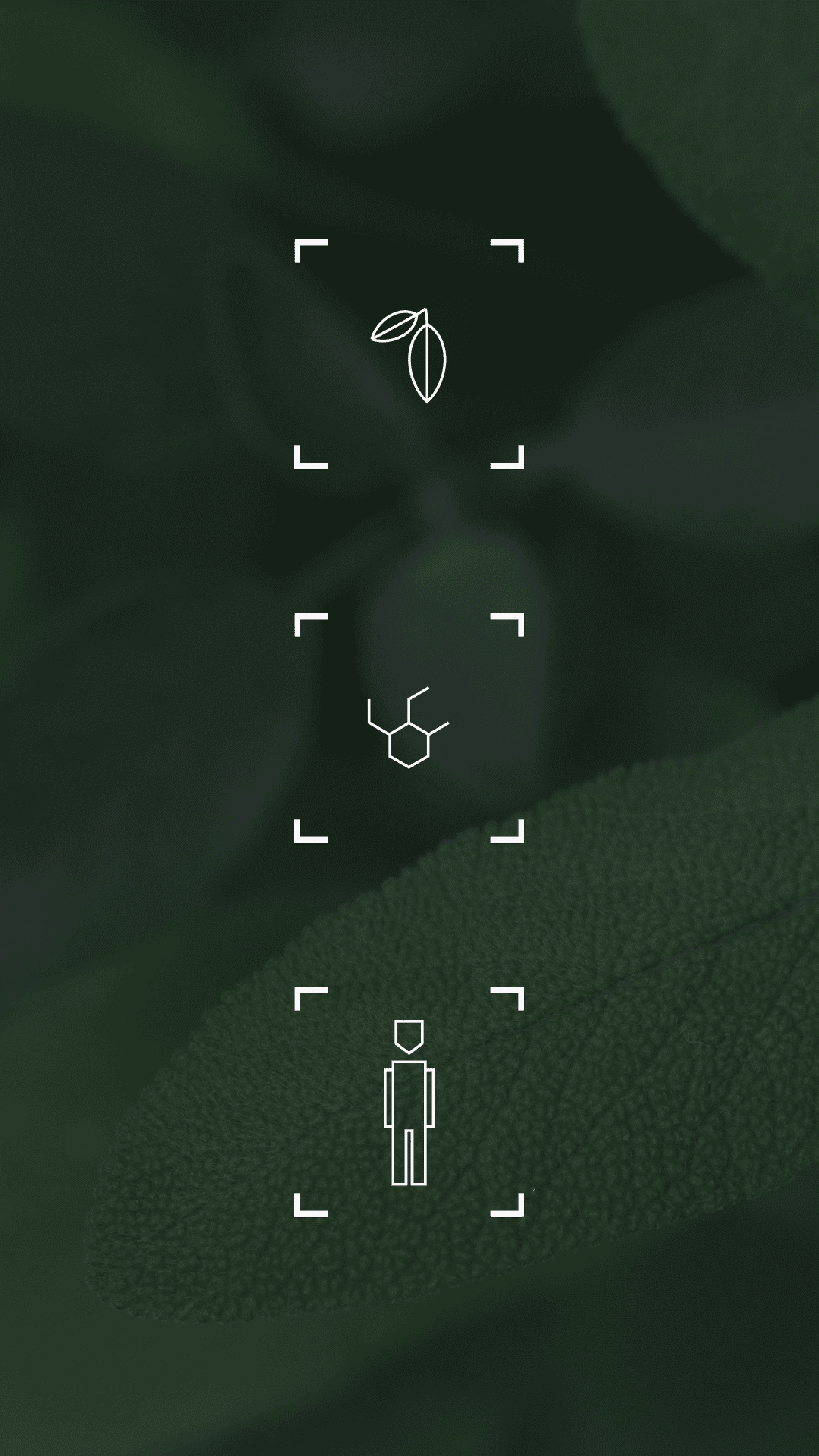 TL VERTICAL 01